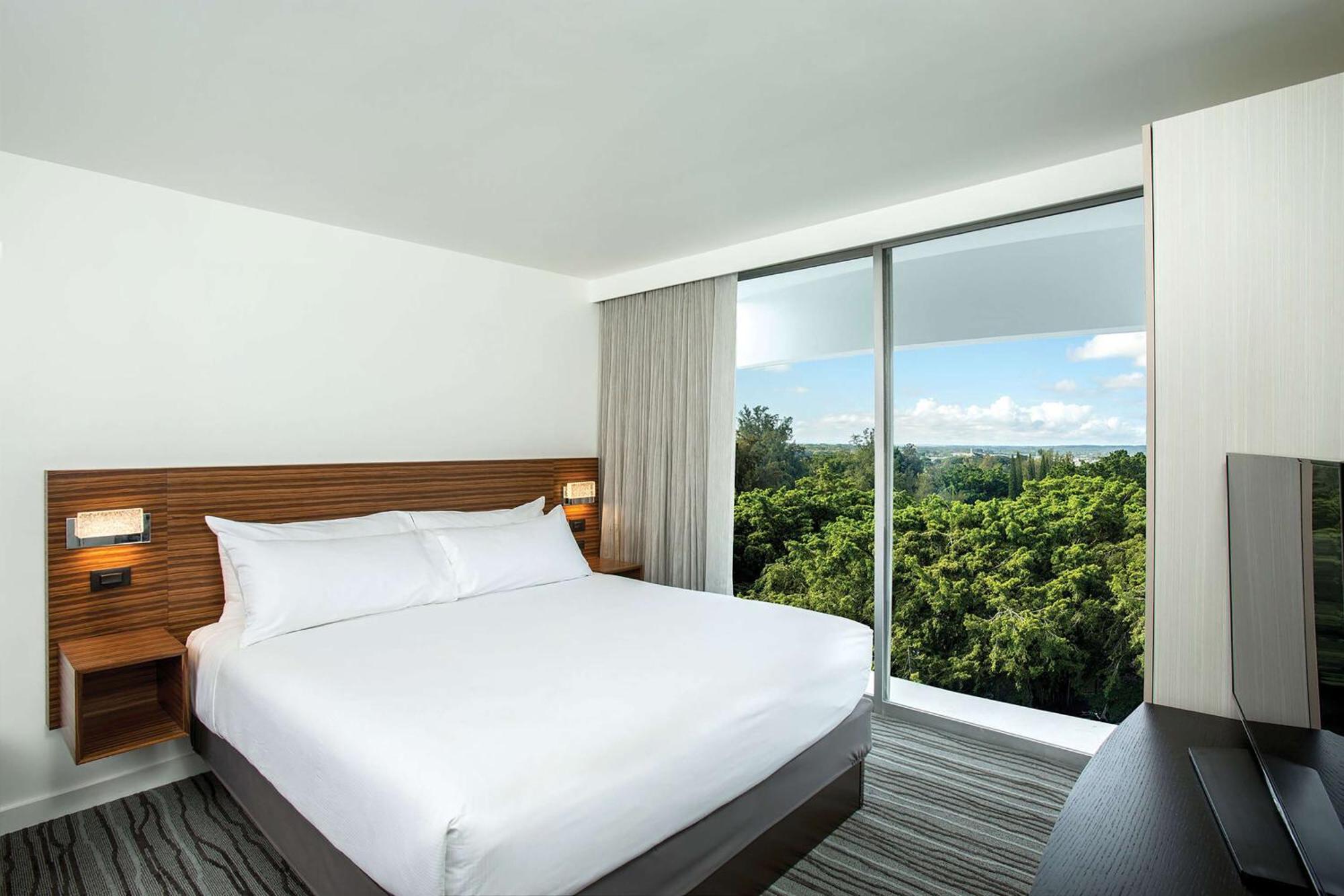 Suite King con 1 Camera da Letto